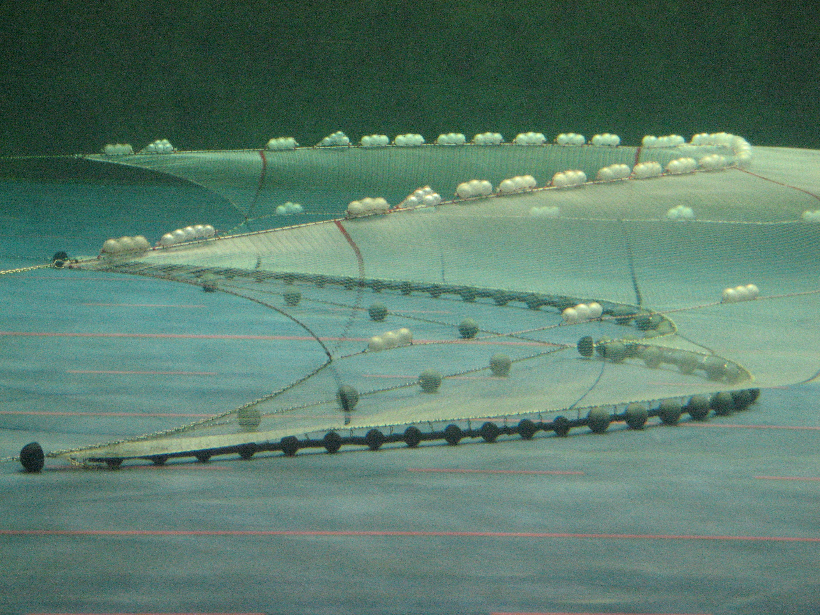 Nordsoetrawl Twin Trawl 0101 Web