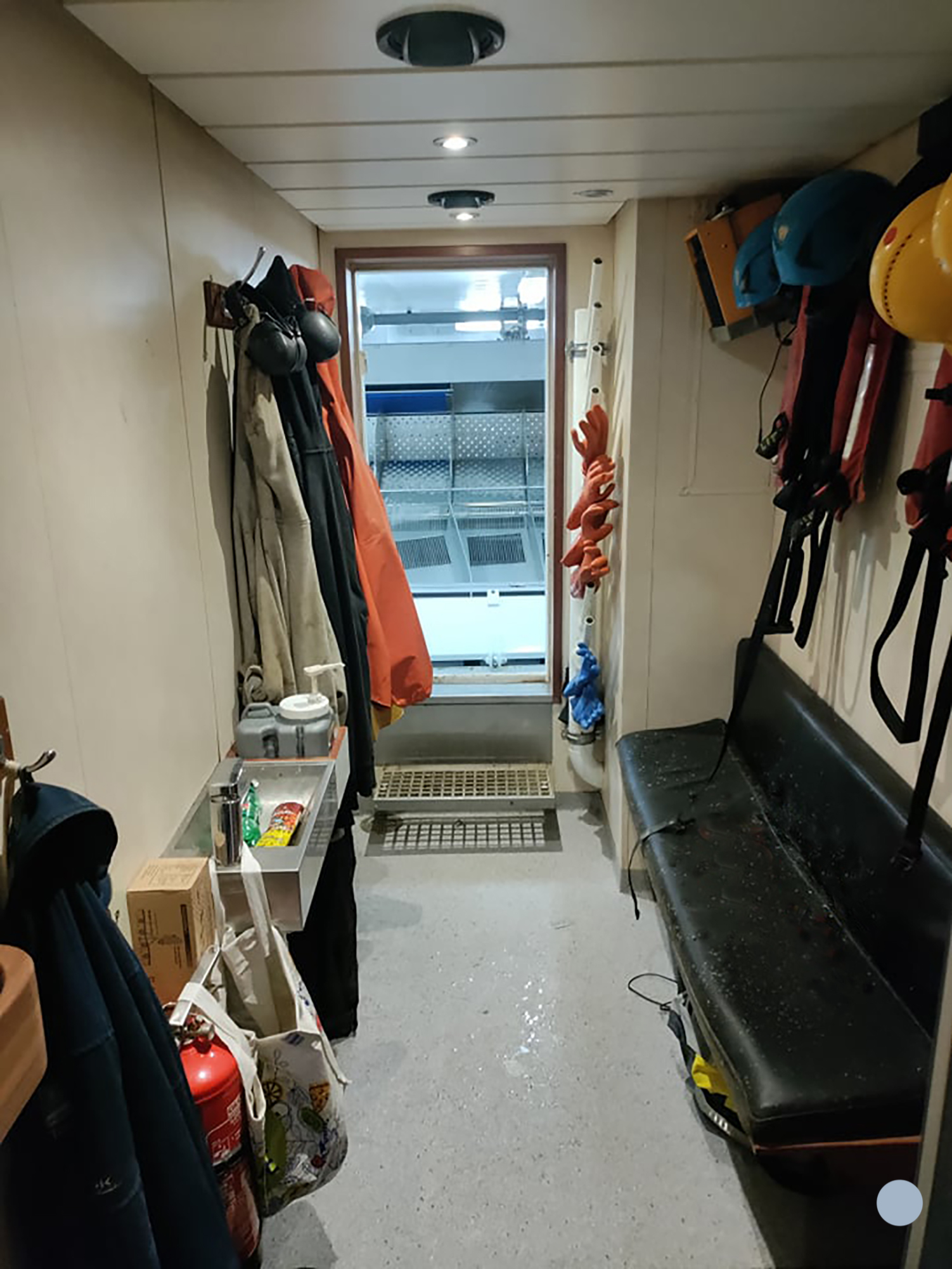 Tove Kynde 260450104 607447910375830 3590208143256456896 N Web