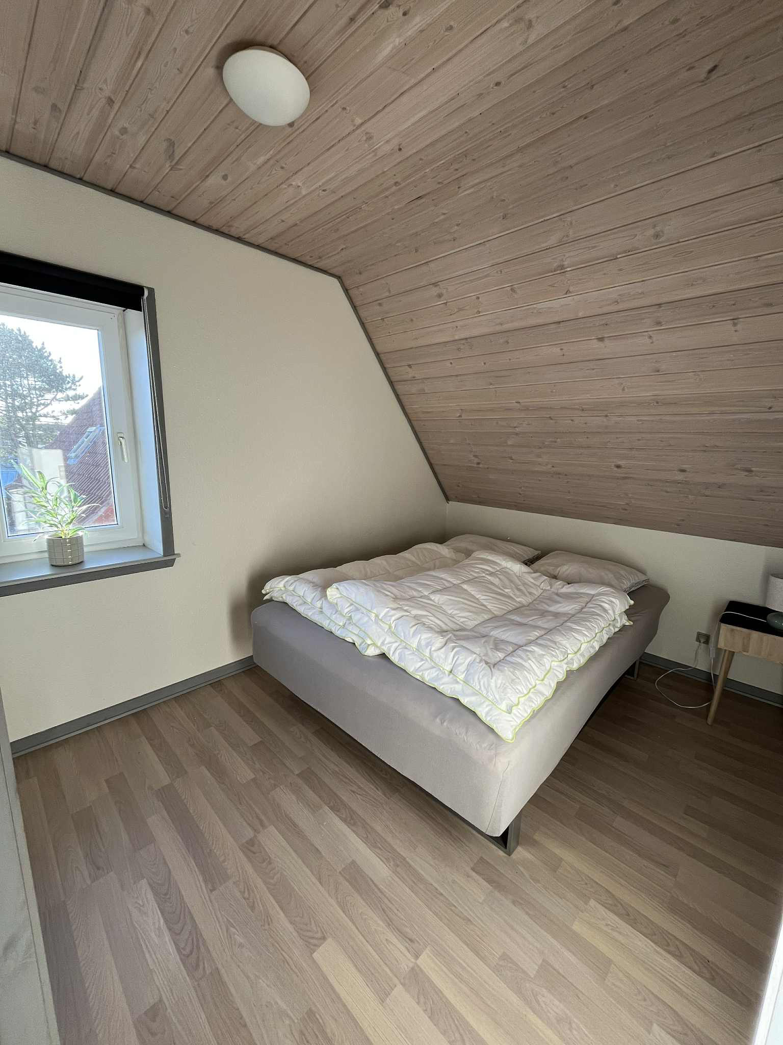 Harboore Image004 Web