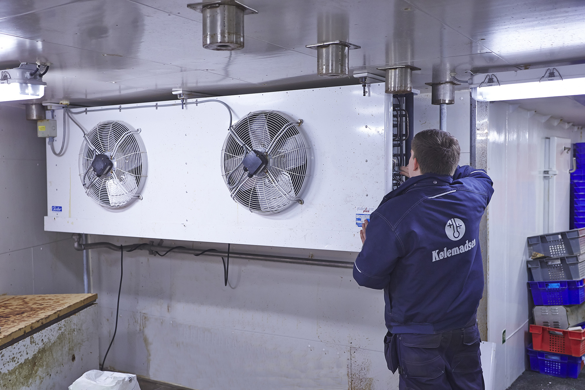 Kolemadsen 6041 47 Adjusted Web