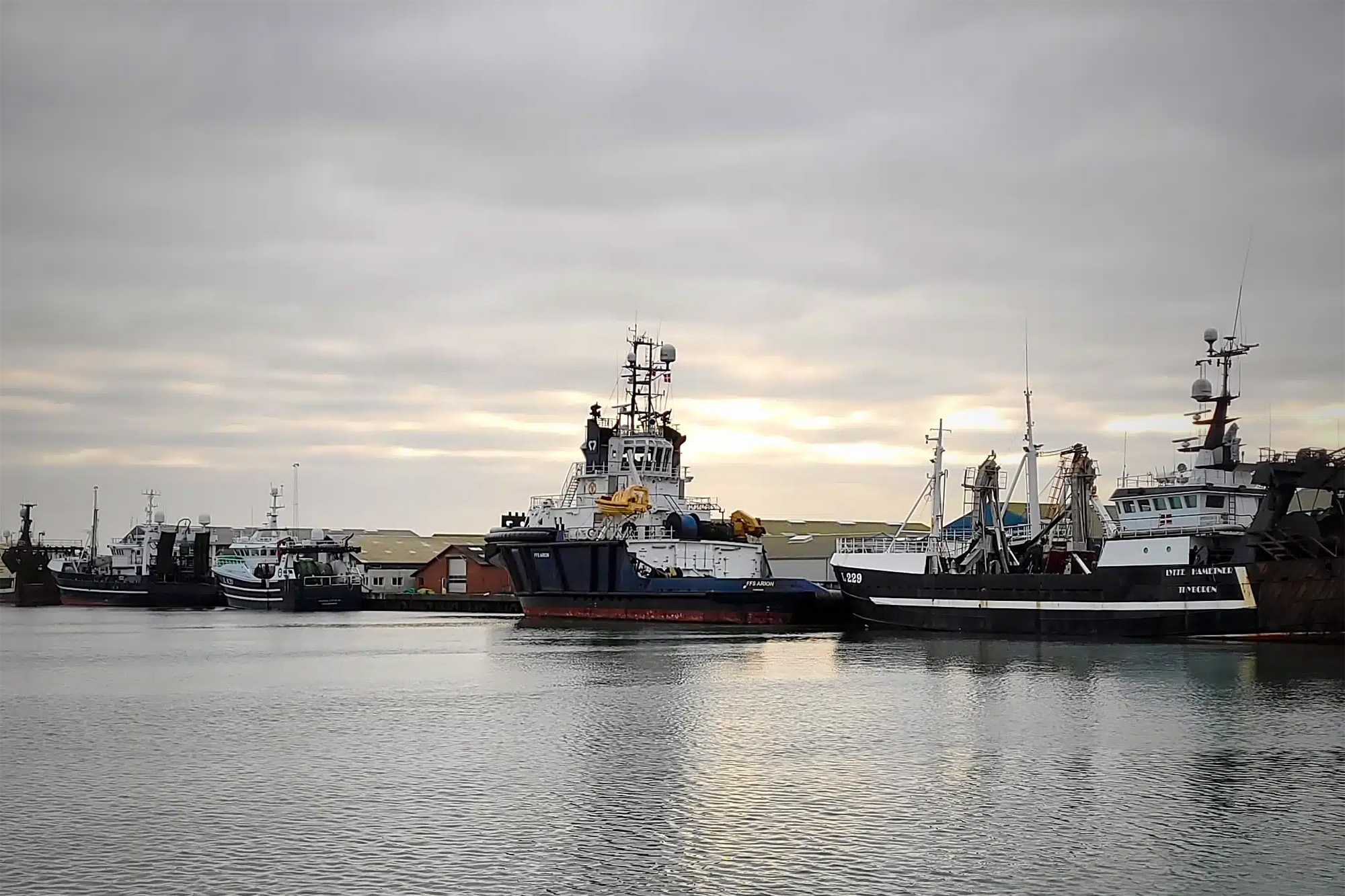 FFS Arion Thyboron Web