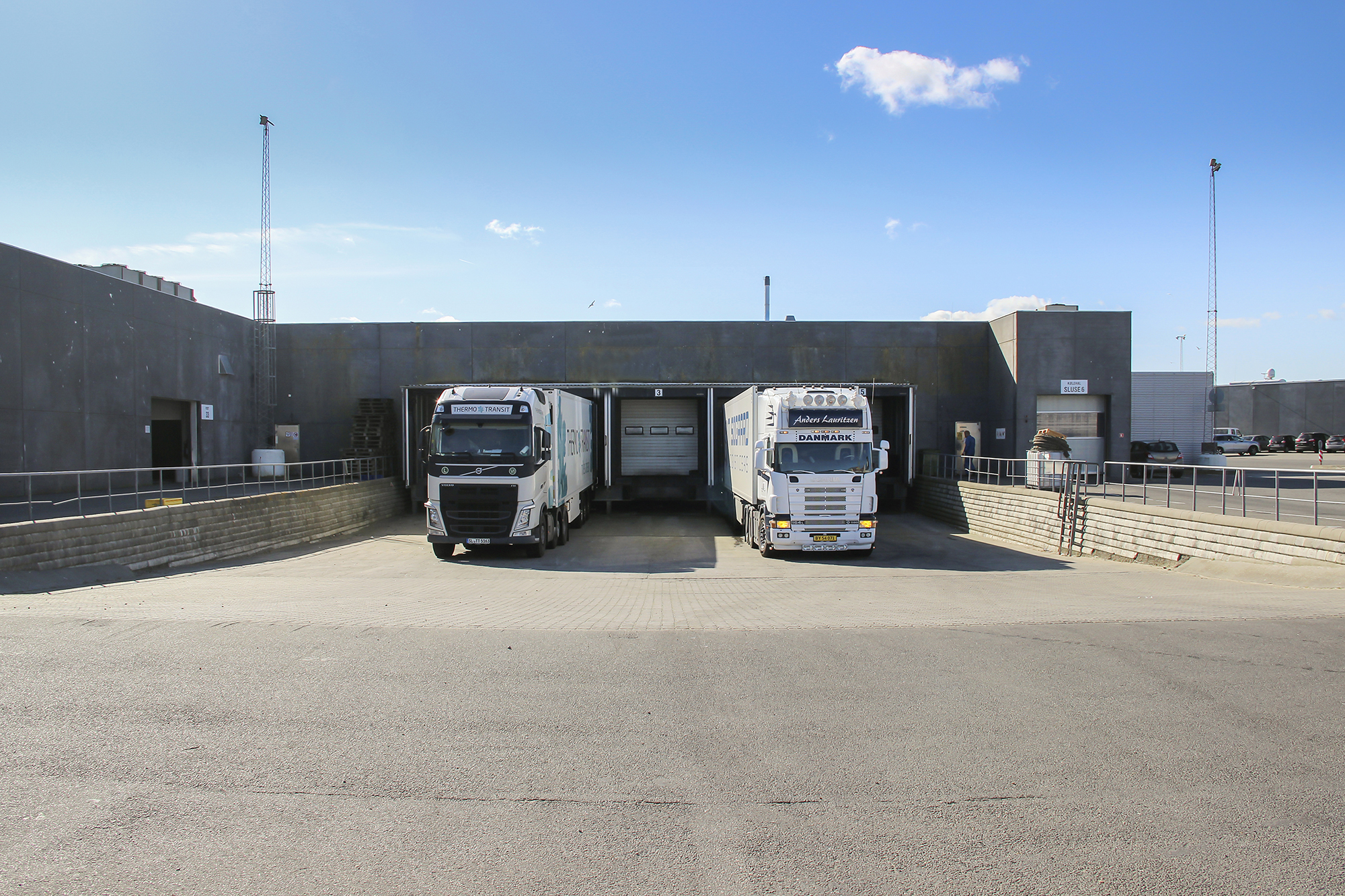 Fish Auction 4465 Web