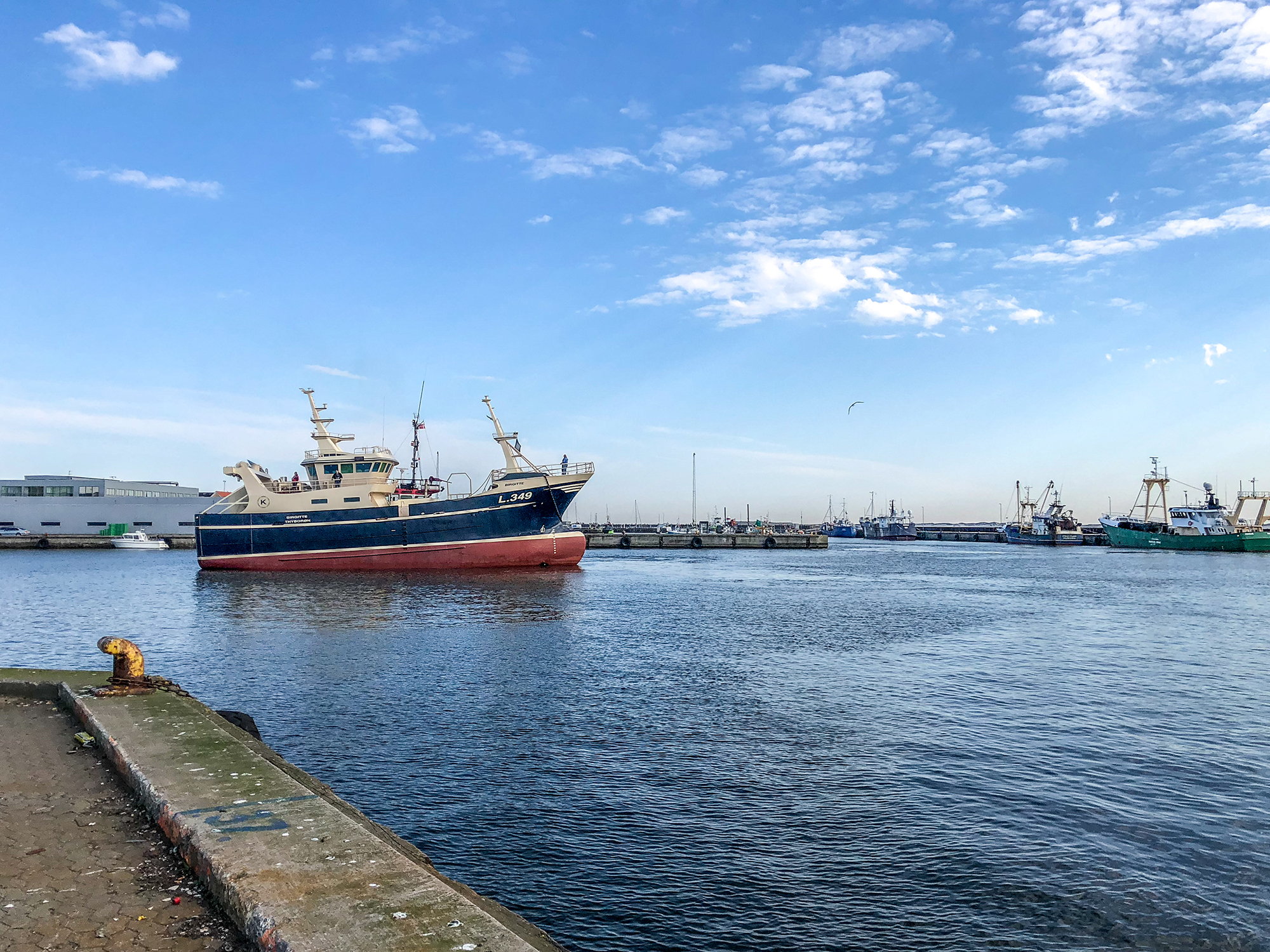 Nybygning Kynde Og Toft IMG 0061 Web