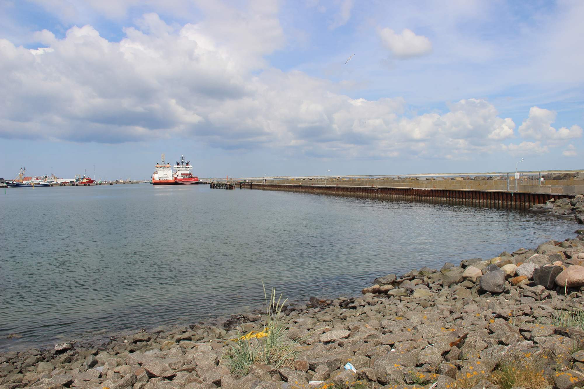 Sondre Mole 6614 Web