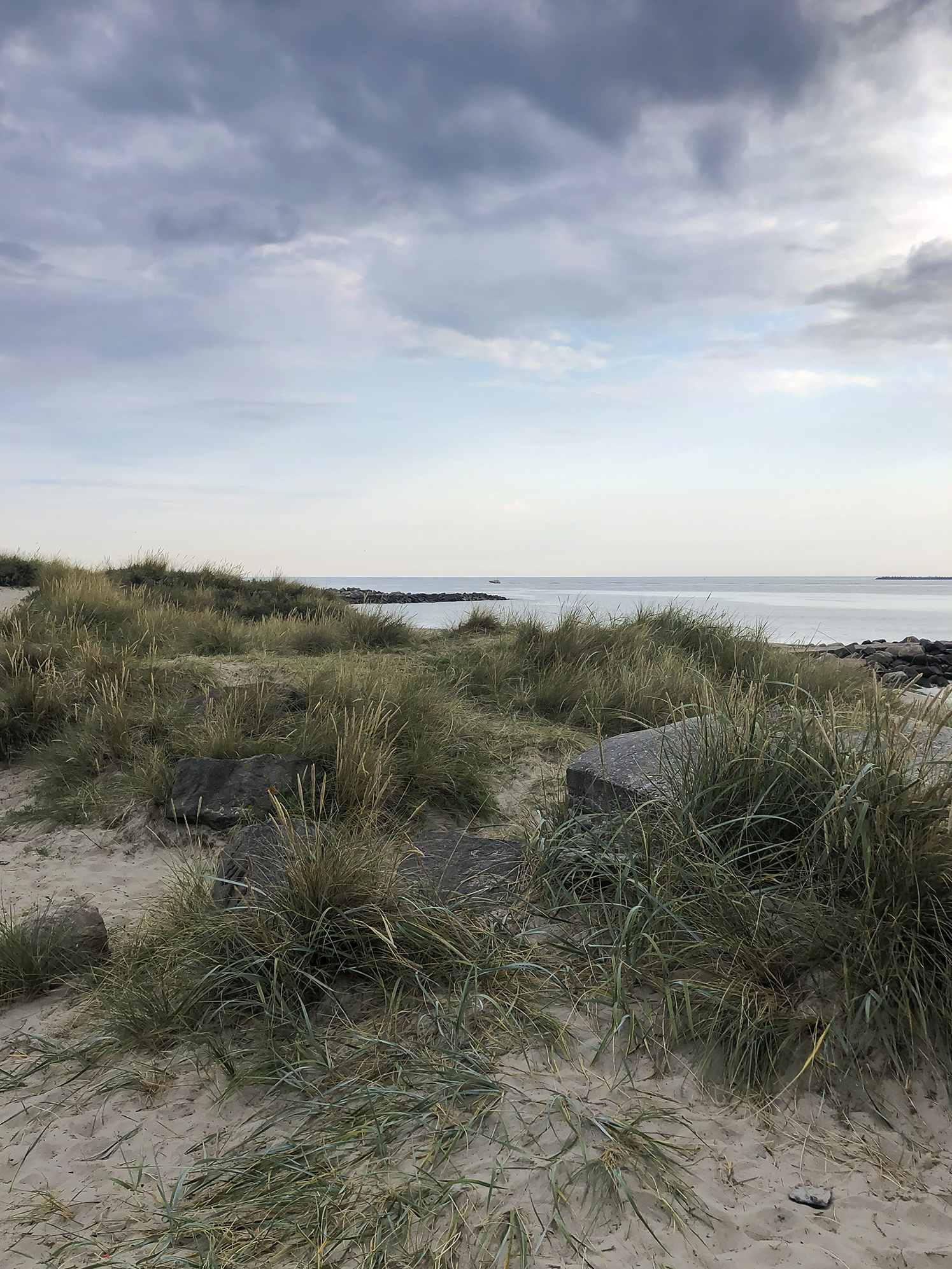 Thyboron Channel 2473 Web