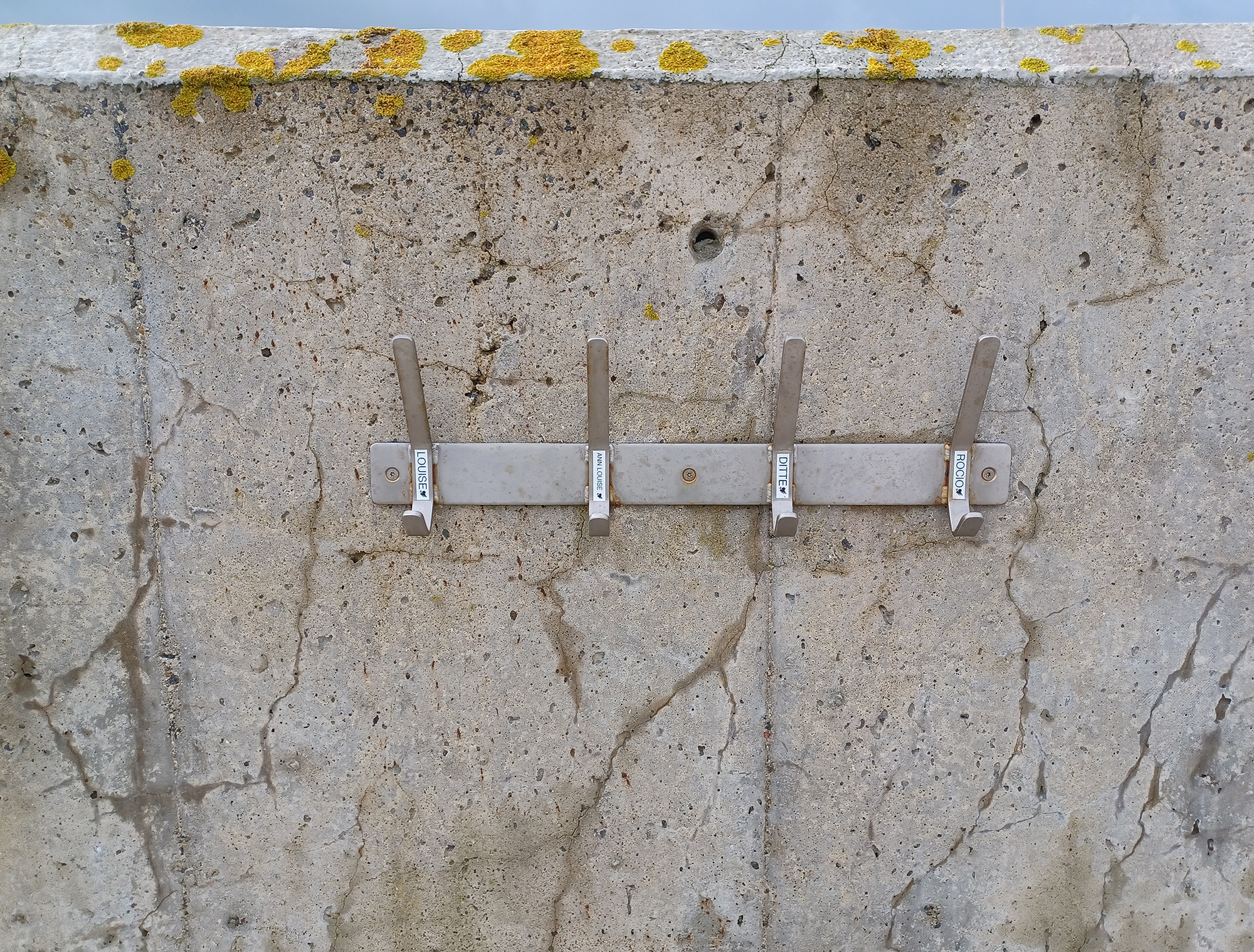 Vinterbadning 20230919 092711 Web